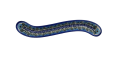 A132 D38